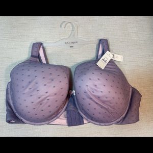NWT Cacique Intuitions Memory Foam Underwire Bra